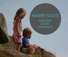 Nanny Scout Ltd